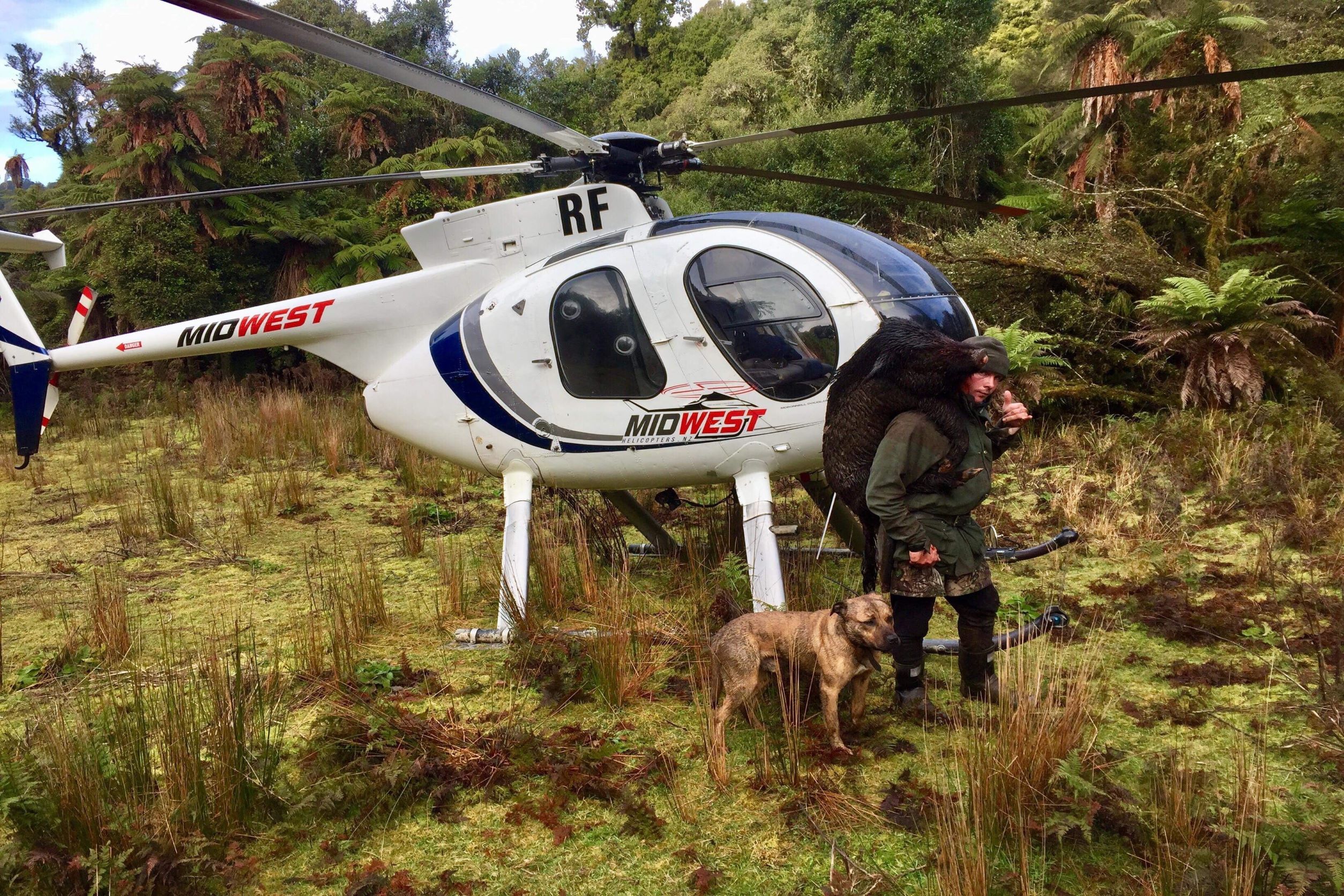 Helicopter hunting